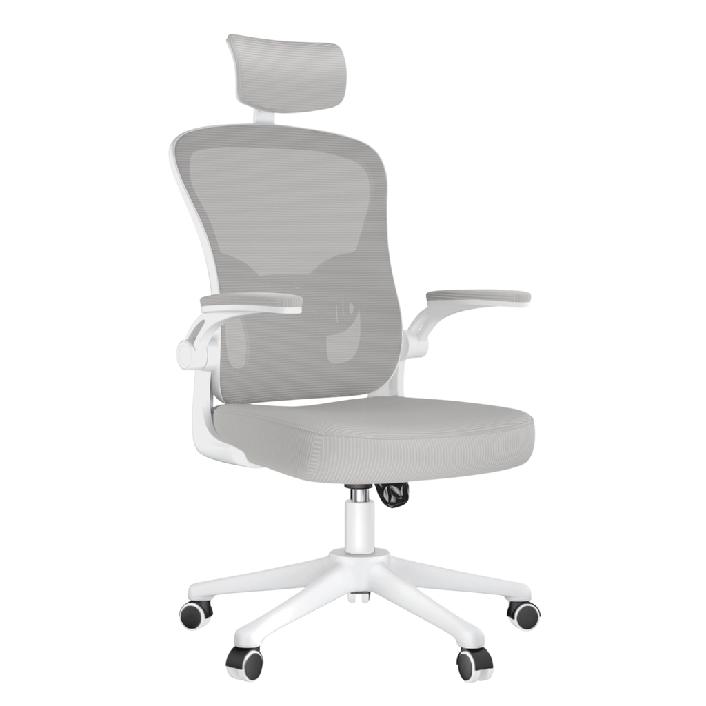Chaise de Bureau Ergonomique à Support Lombaire Renforcé – Office C-770