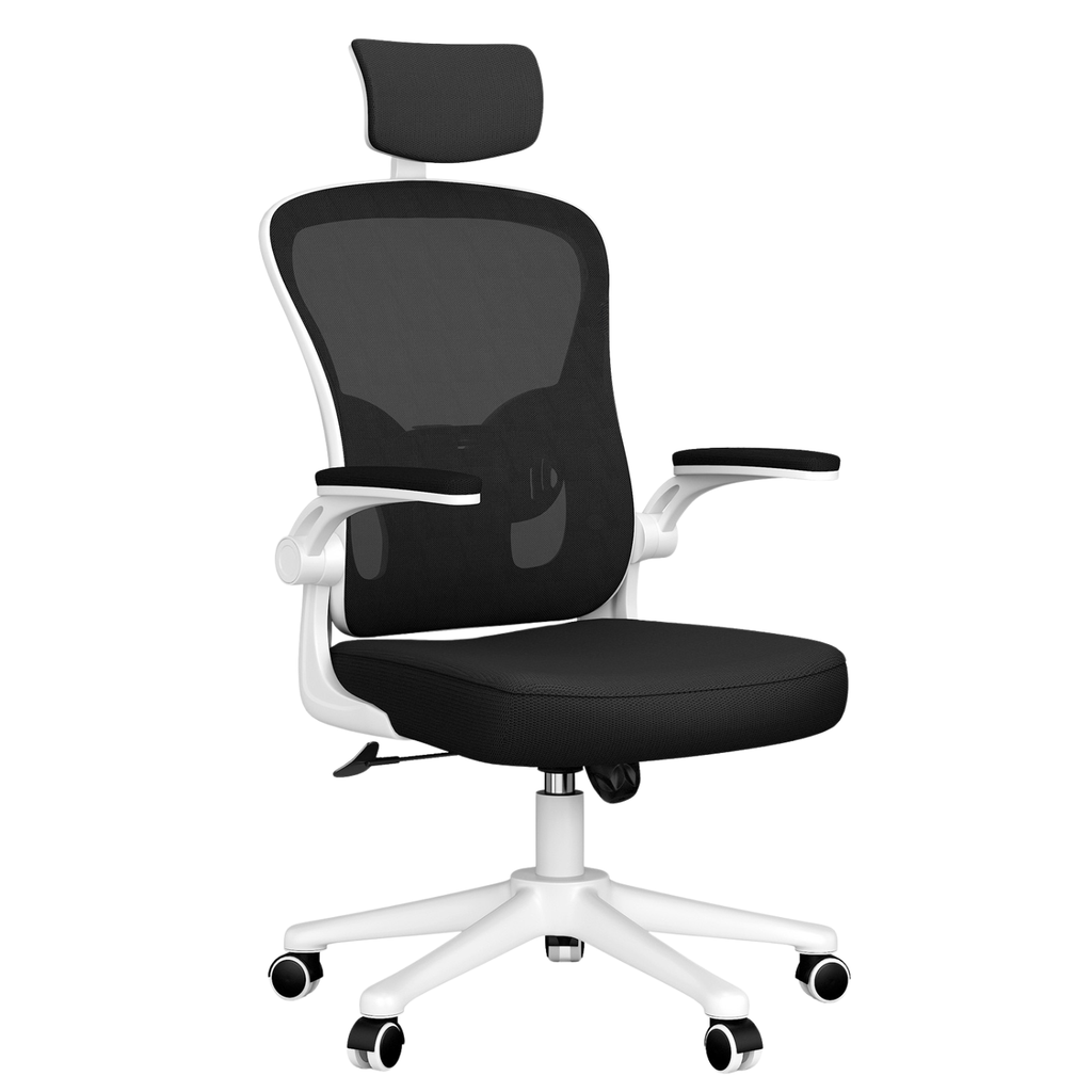 Chaise de Bureau Ergonomique à Support Lombaire Renforcé – Office C-770