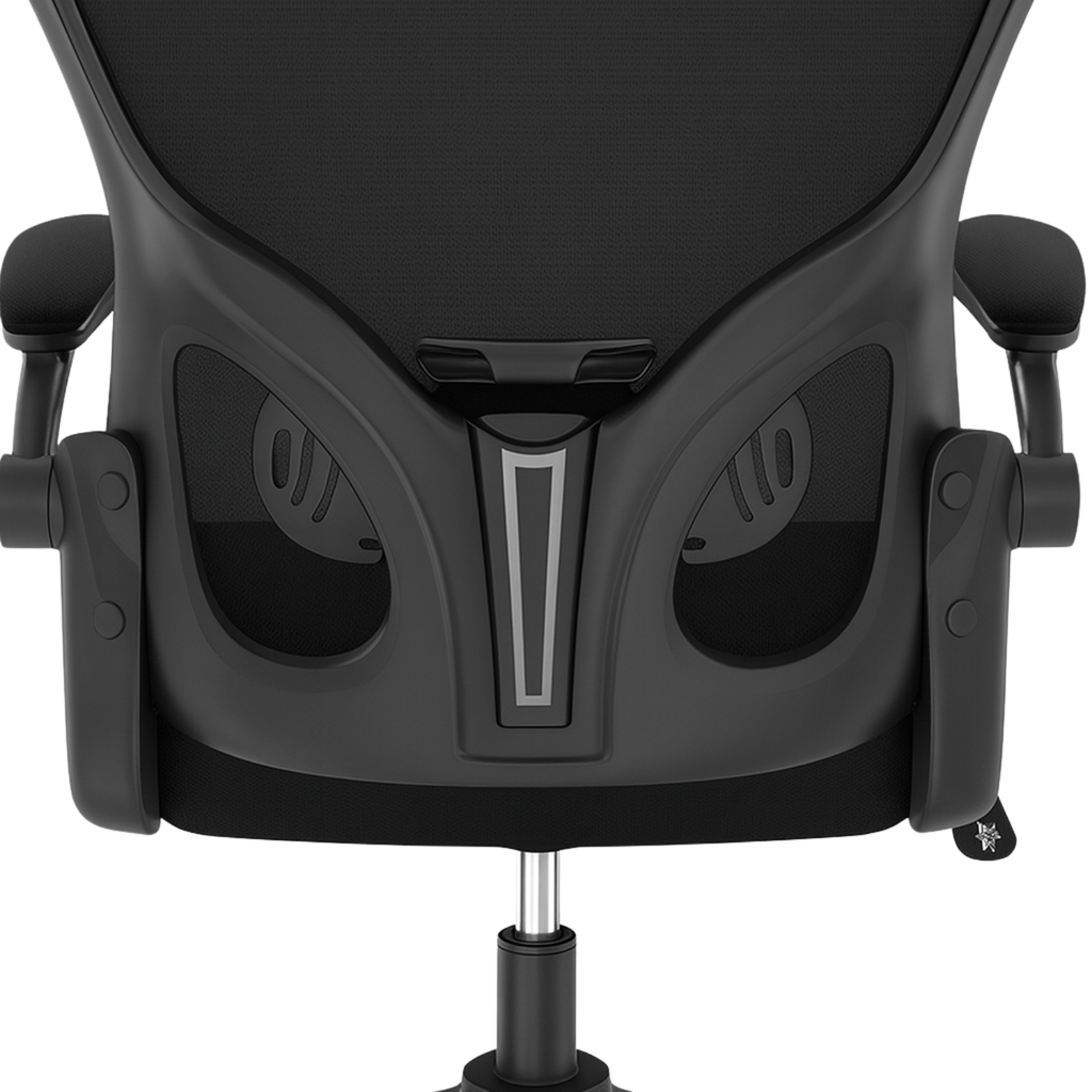 Chaise de Bureau Ergonomique à Support Lombaire Renforcé – Office C-770